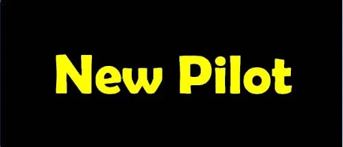 Cadet Pilot